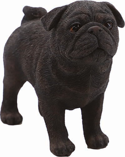 CANE BRUNO CM.12
