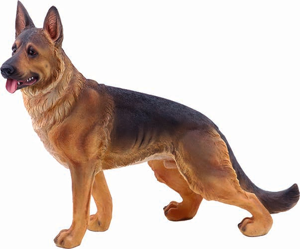 CANE IAGO CM.36
