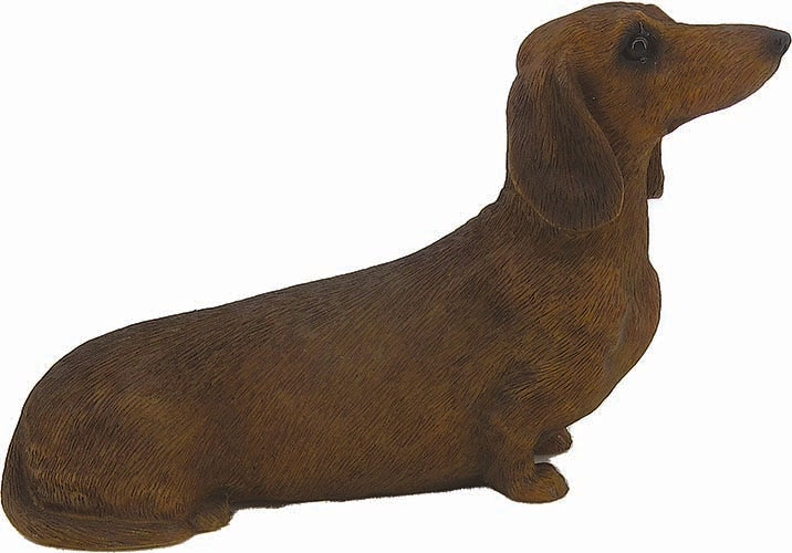 CANE LEO CM.13