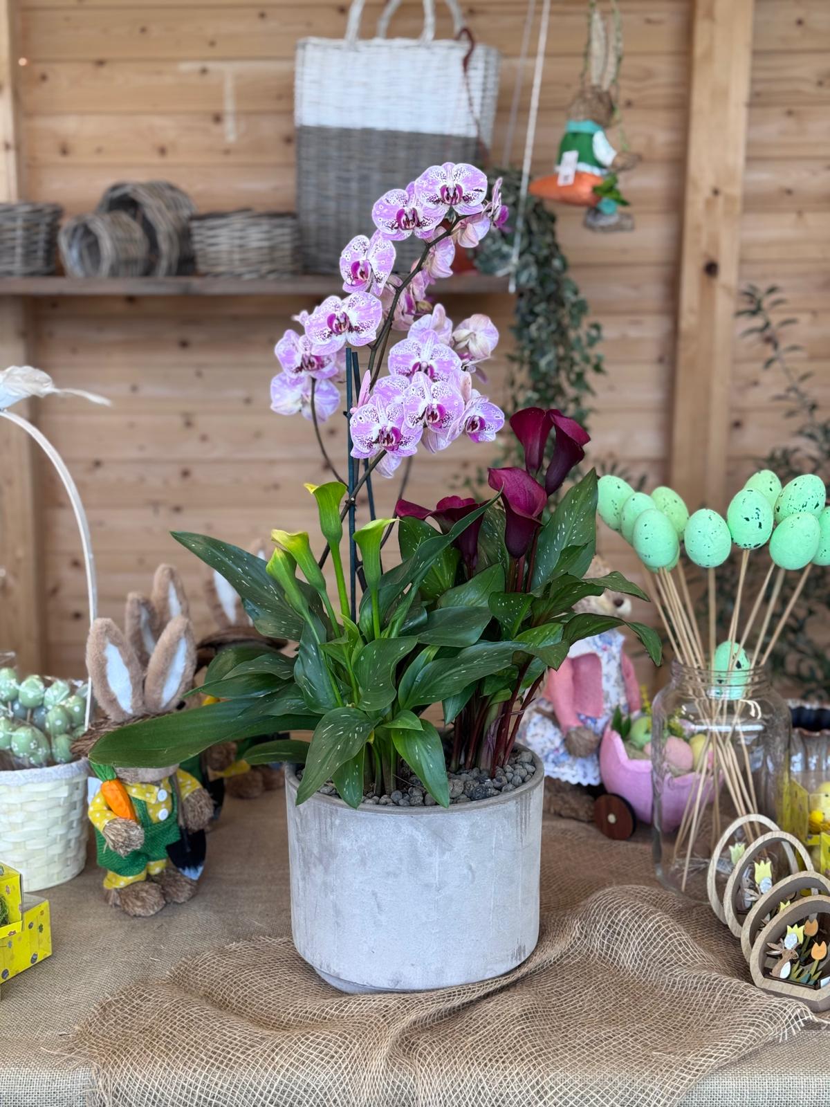 COMPOSIZIONE ORCHIDEA E CALLE