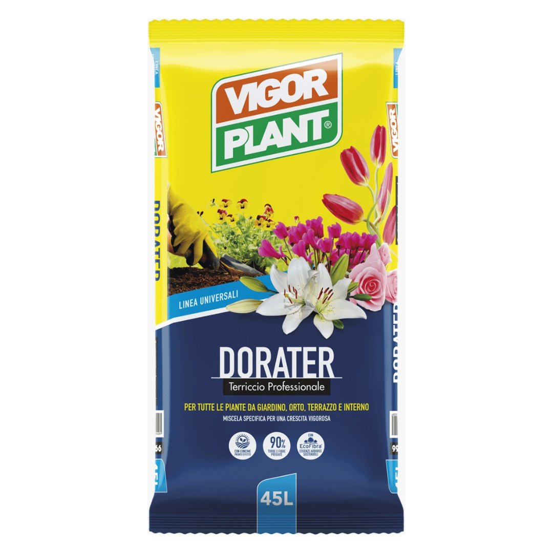 TERRICCIO UNIVERSALE DORATER