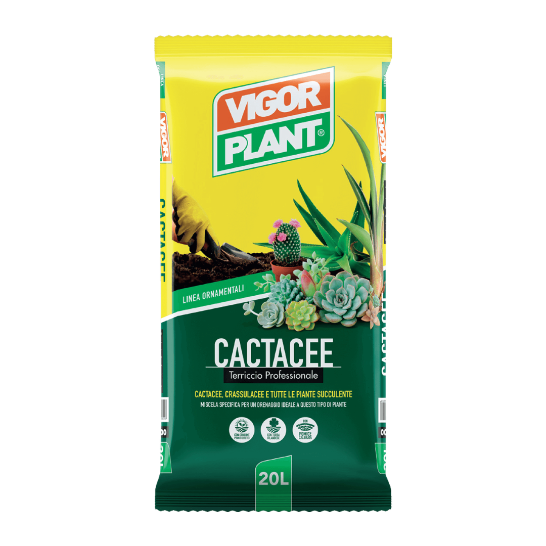 TERRICCIO CACTACEE 20lt