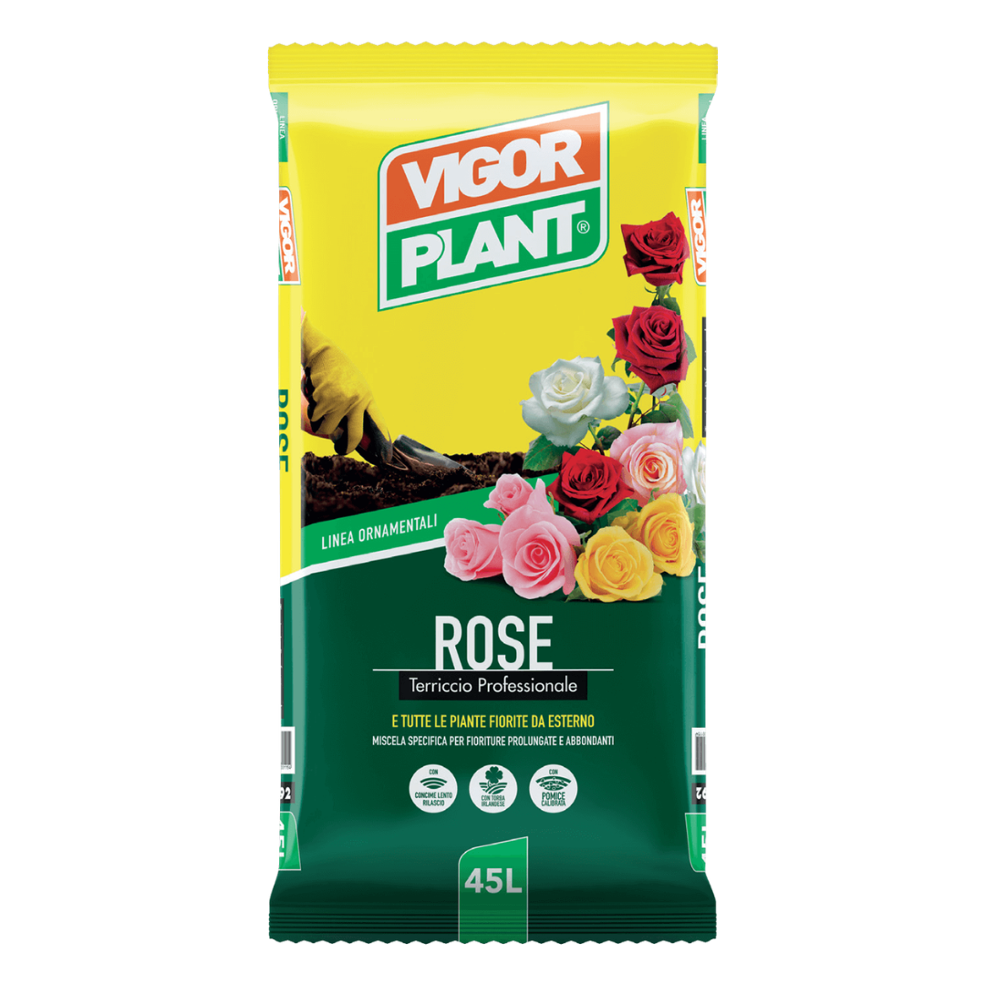 TERRICCIO ROSE 45lt 3X