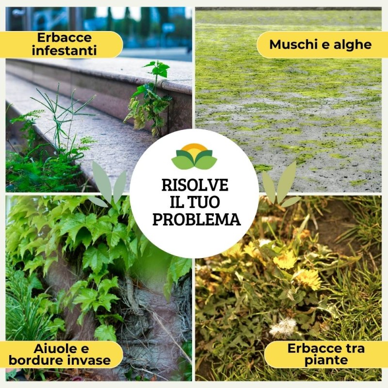 ERBICIDA SPRAY