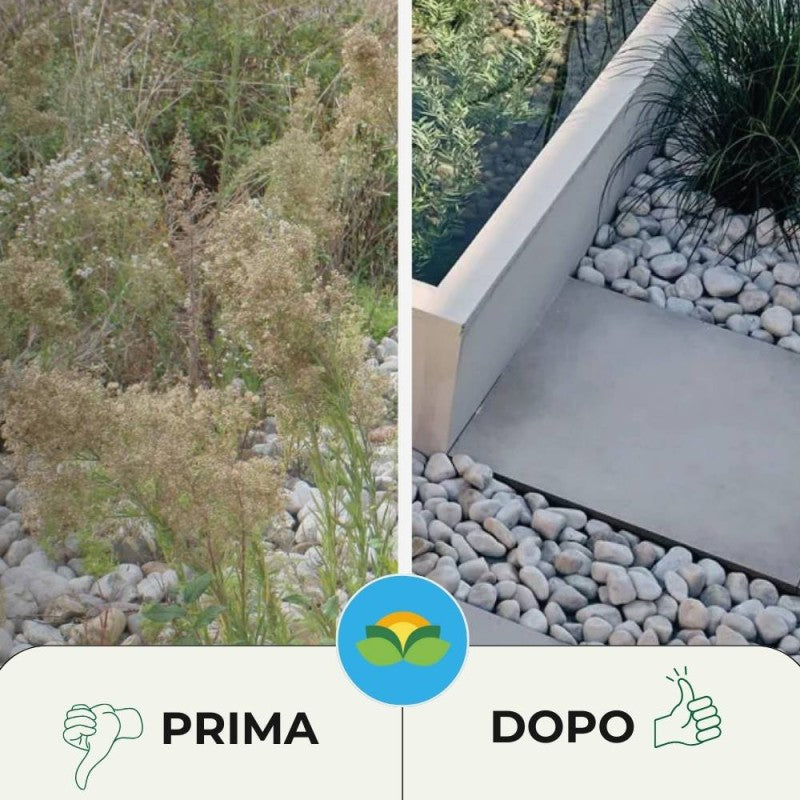 ERBICIDA SPRAY