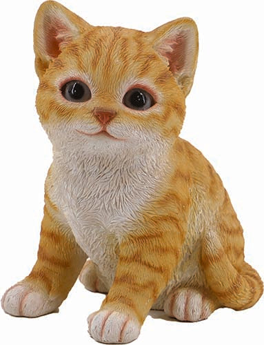 GATTO FIOCCO CM.15