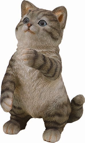 GATTO LAIKA CM.18