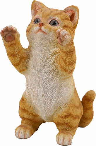 GATTO SASHA CM.18