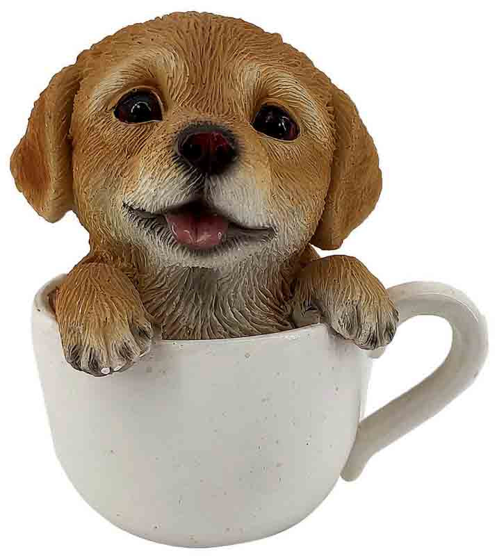 LABRADOR FELICE CM.9