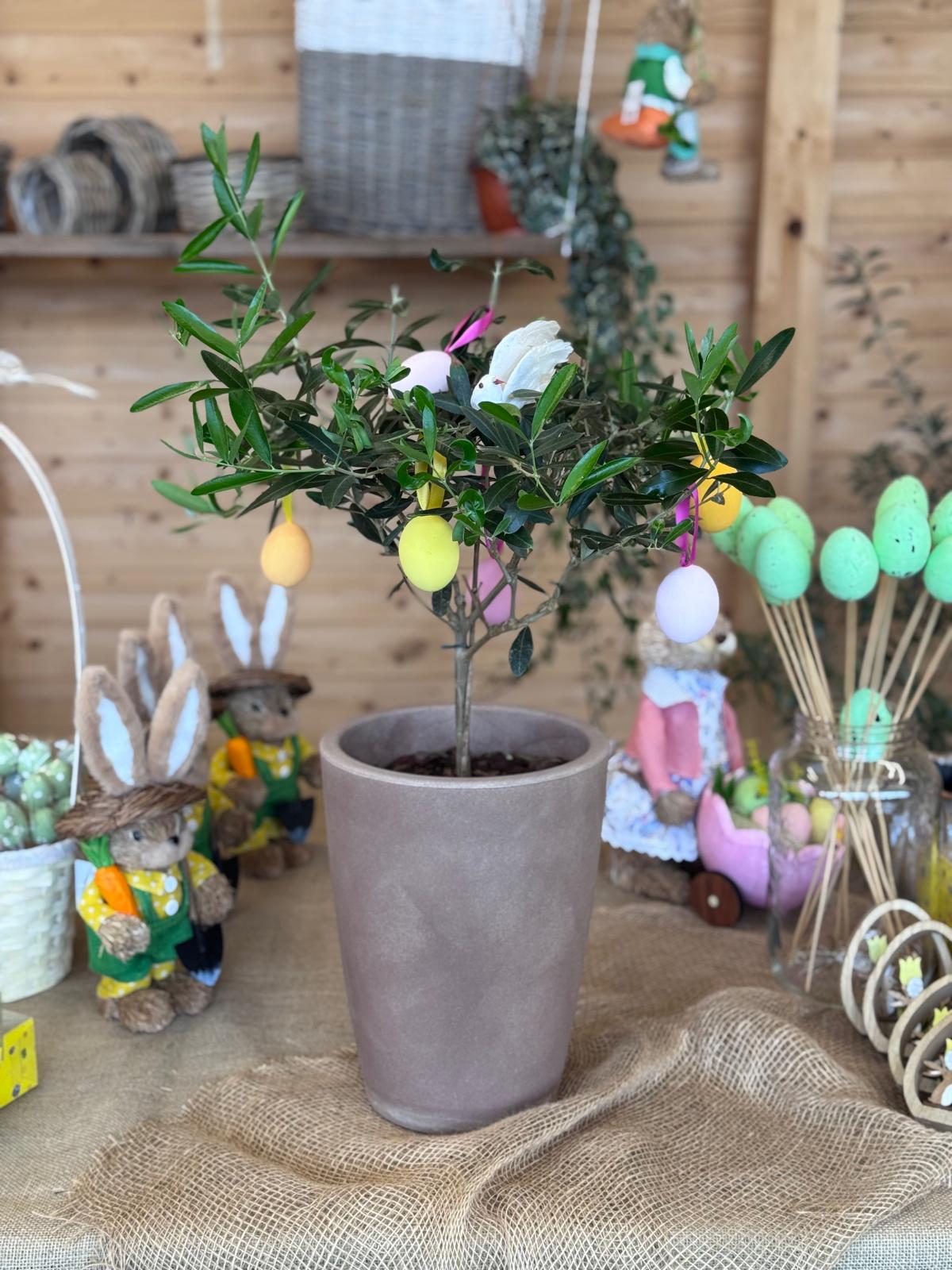 ULIVO IN PLASTICA ADDOBBATO