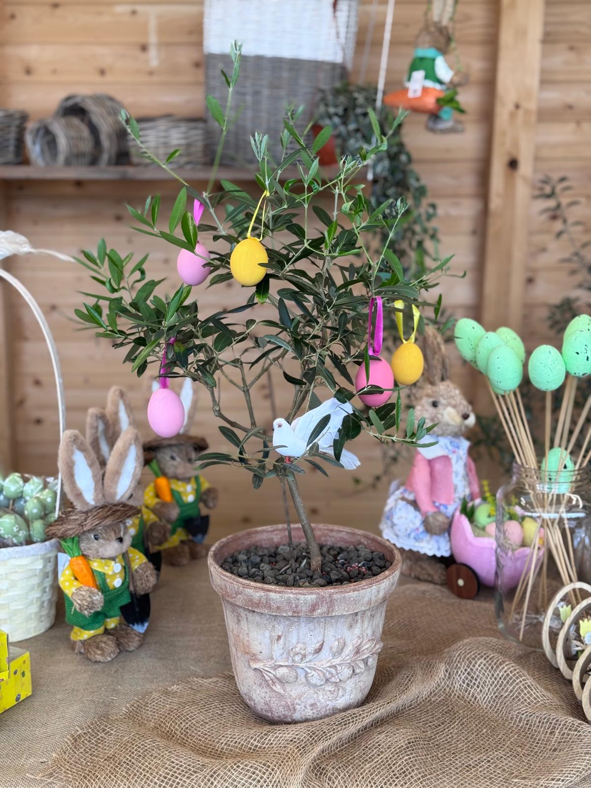 ULIVO IN TERRACOTTA ADDOBBATO