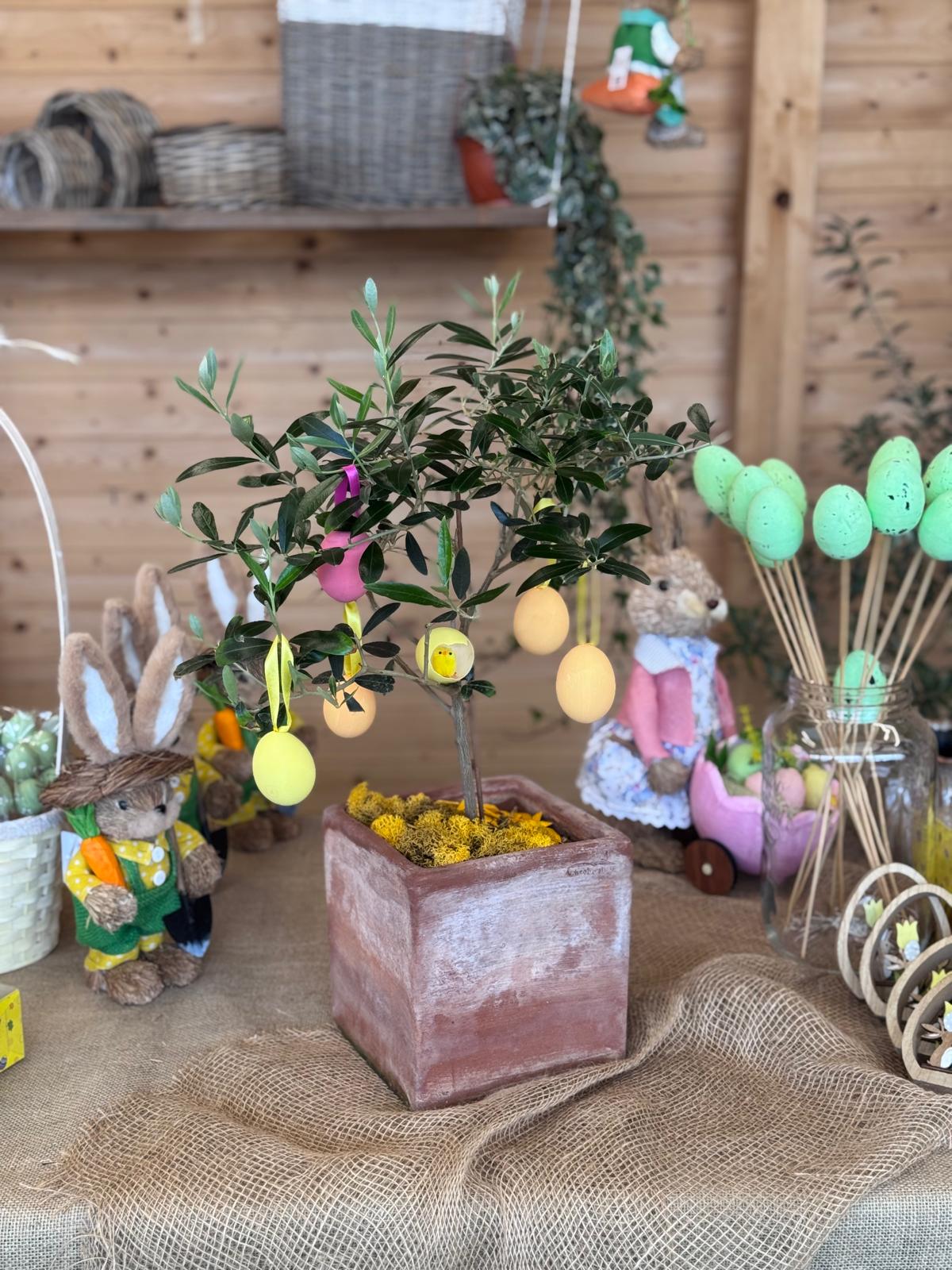 ULIVO IN TERRACOTTA ADDOBBATO