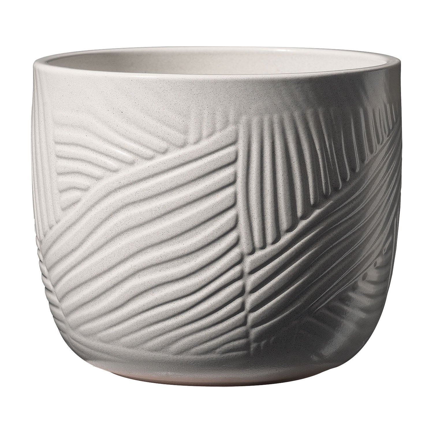 VASO LEON