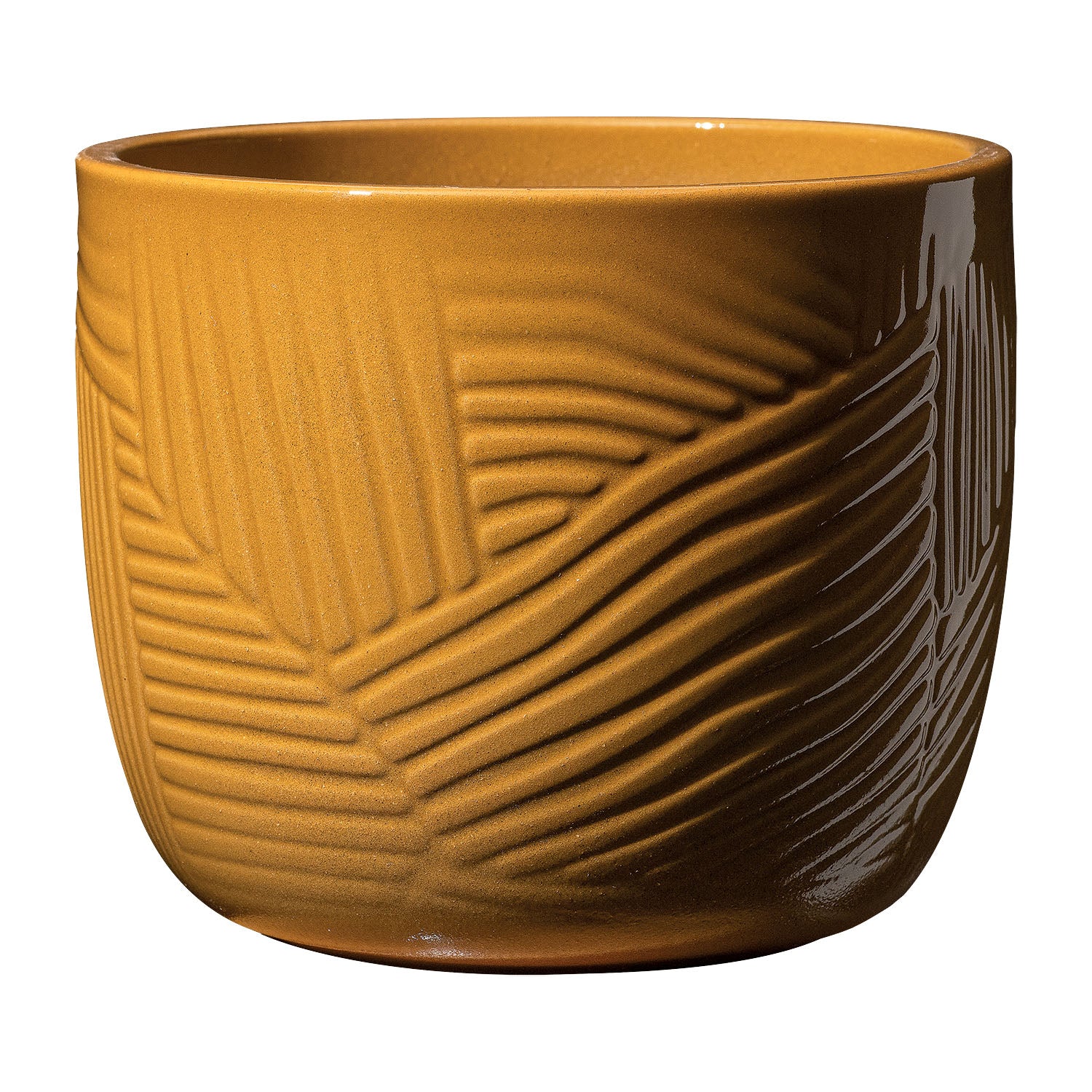 VASO LEON