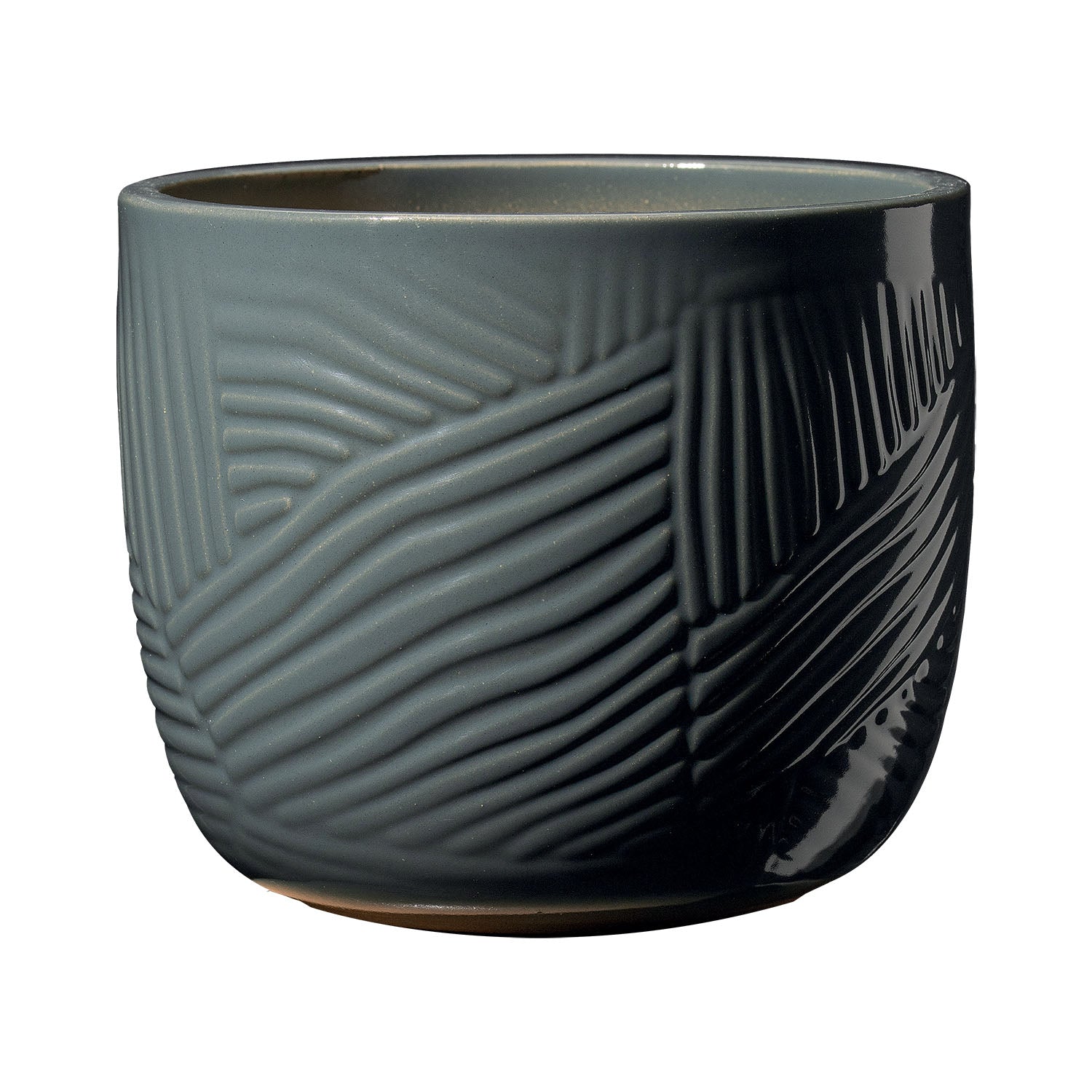 VASO LEON