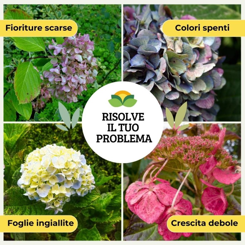 CONCIME PER ACIDOFILE