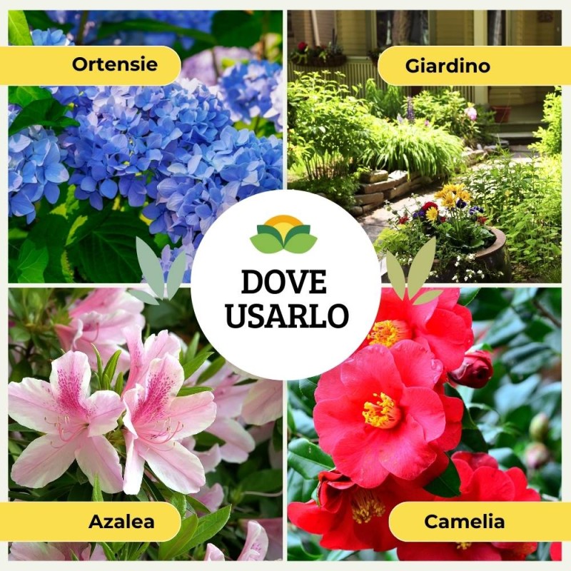 CONCIME PER ACIDOFILE