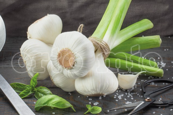 6 Piante in pack di Aglio bianco Garcua Top