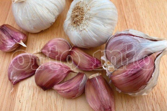 6 Piante in pack di Aglio rosso Gardos (tipo rosso di Sulmona)