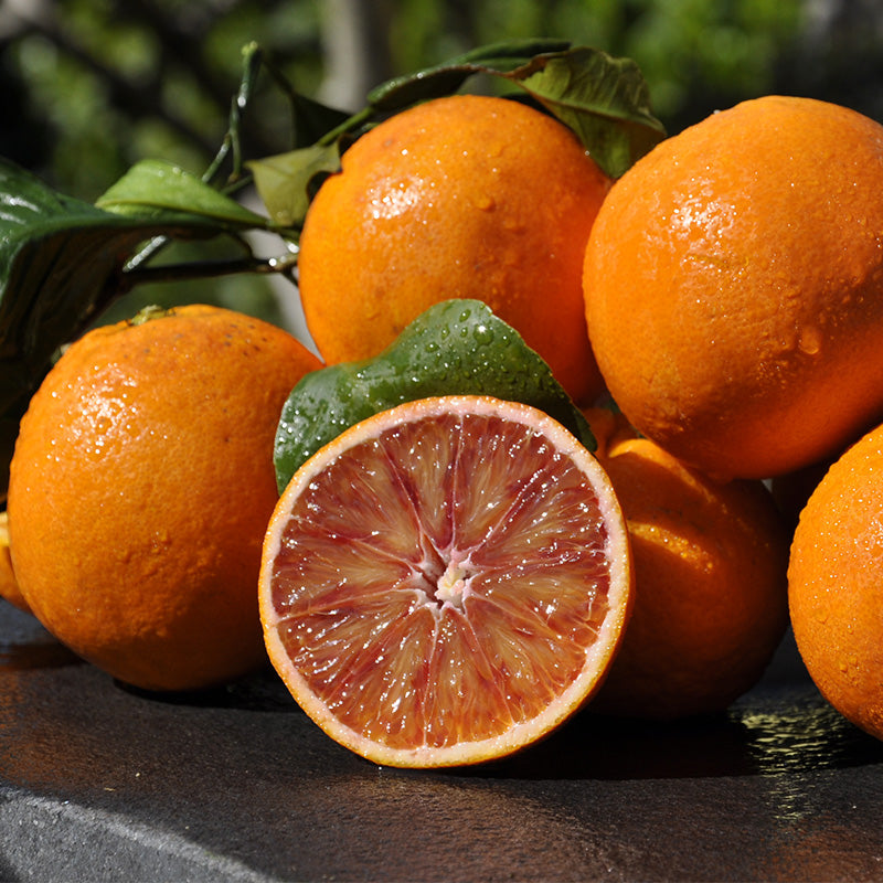 Arancio Tarocco