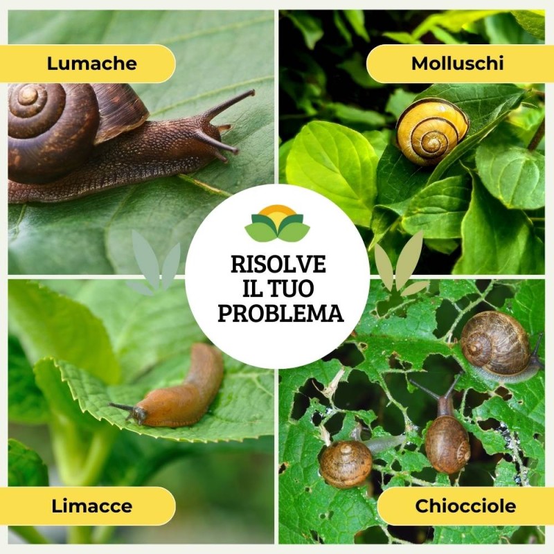 BARRIERA LUMACHE NATURALE