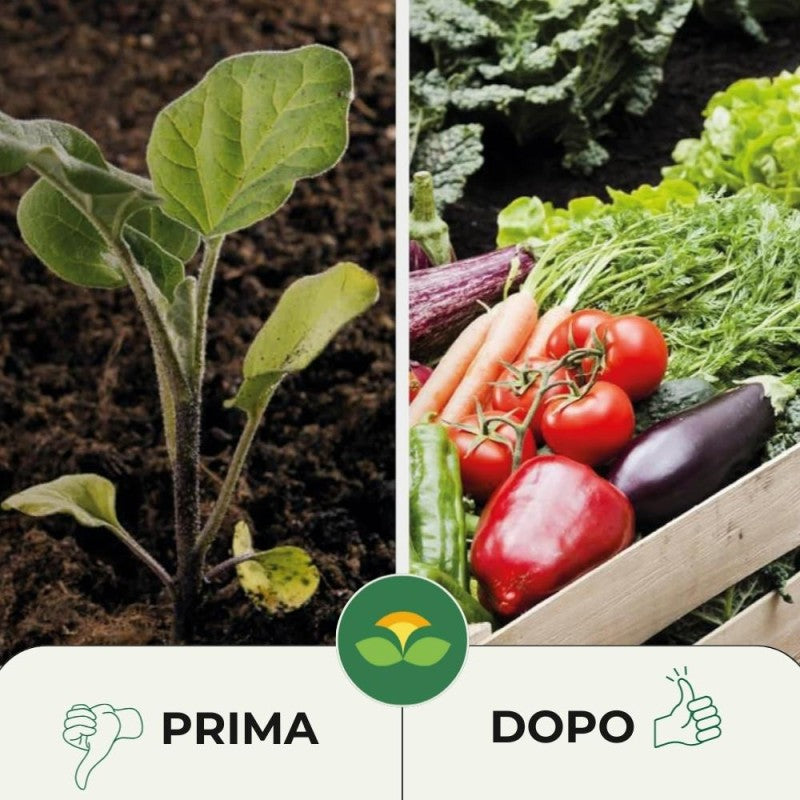 CONCIME A CESSIONE PROGRAMMATA