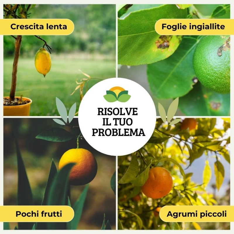 CONCIME LIQUIDO PER AGRUMI