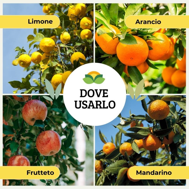 CONCIME LIQUIDO PER AGRUMI