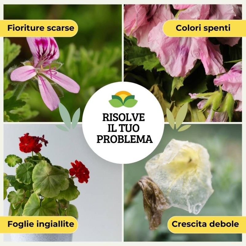 CONCIME LIQUIDO PER GERANI E PIANTE FIORITE