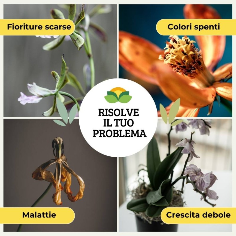 CONCIME LIQUIDO PER ORCHIDEE