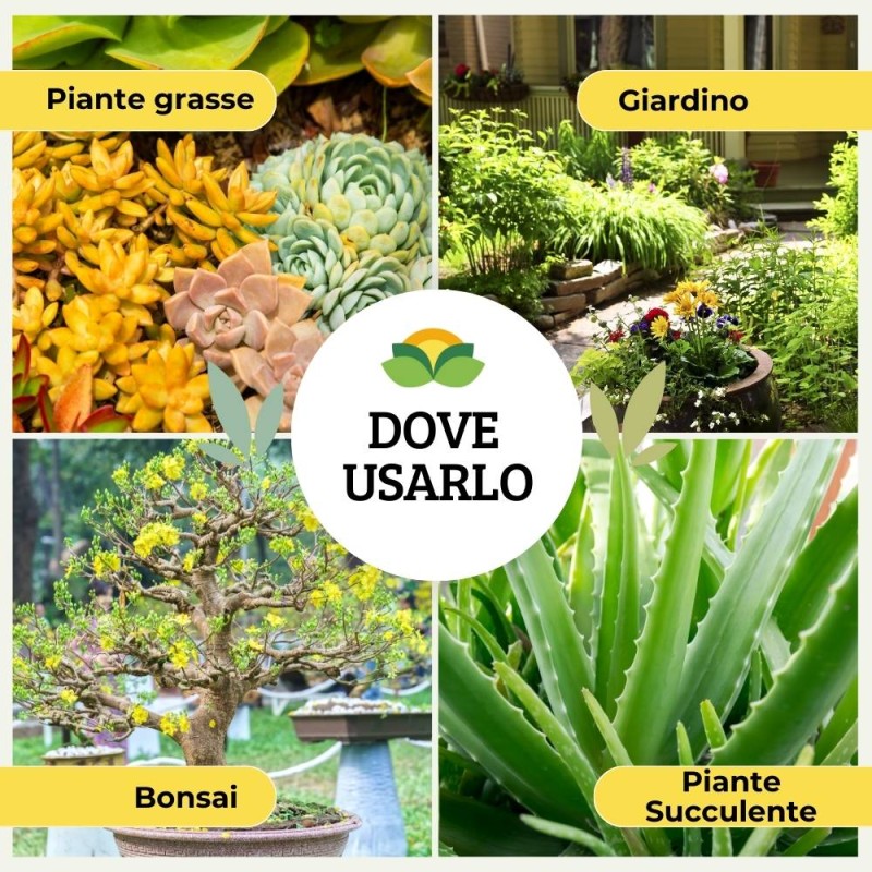 CONCIME LIQUIDO PER PIANTE GRASSE E BONSAI