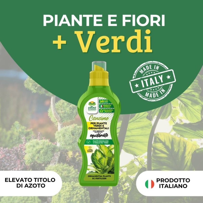 CONCIME LIQUIDO PER PIANTE VERDI