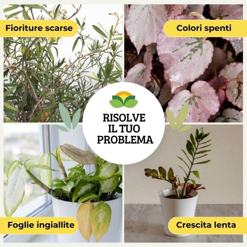 CONCIME LIQUIDO PER PIANTE VERDI