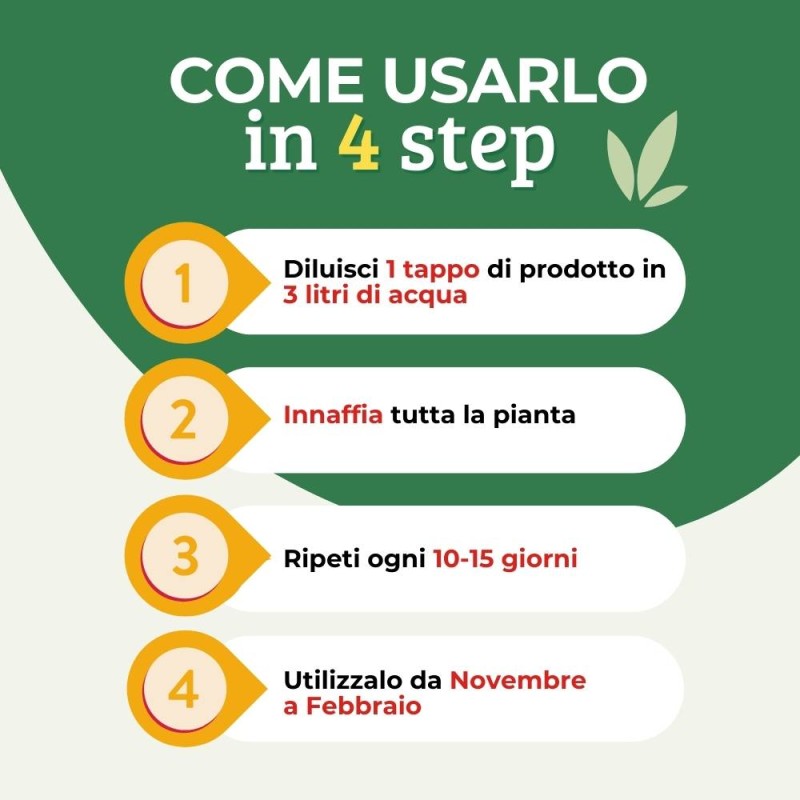 CONCIME LIQUIDO PER PIANTE VERDI