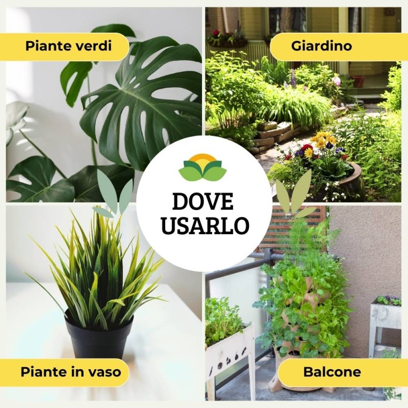 CONCIME LIQUIDO PER PIANTE VERDI