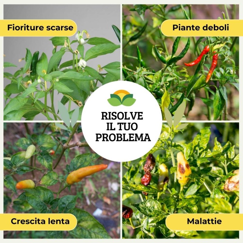 CONCIME PER PEPERONCINI 300G