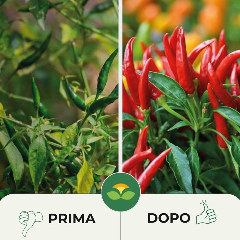 CONCIME PER PEPERONCINI 300G
