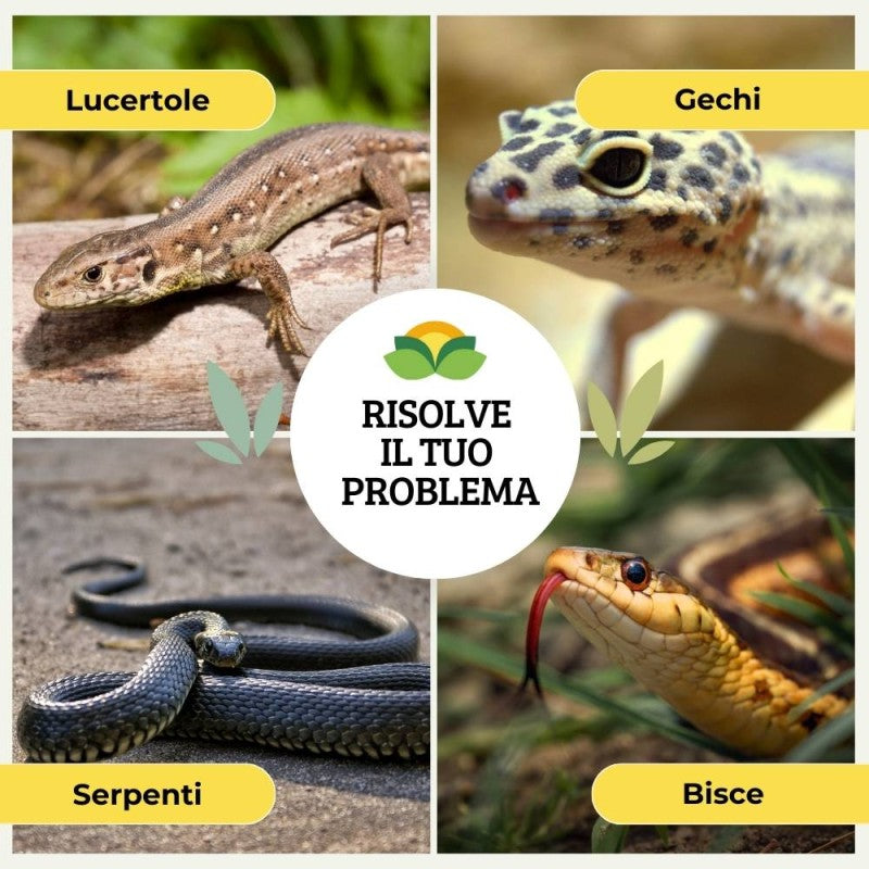 DISABITUANTE LUCERTOLE
