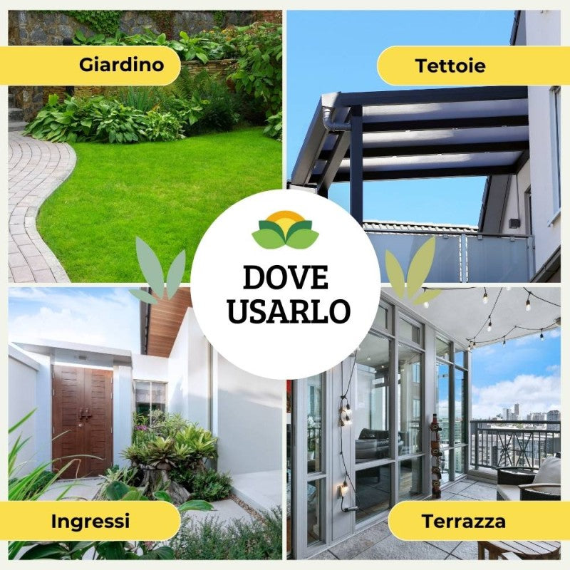 DISABITUANTE LUCERTOLE