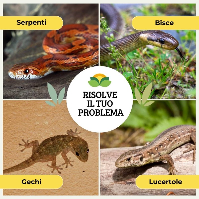 DISABITUANTE SERPENTI