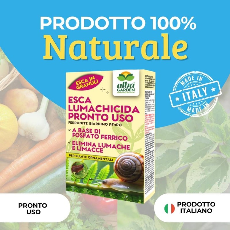 ESCA LUMACHICIDA