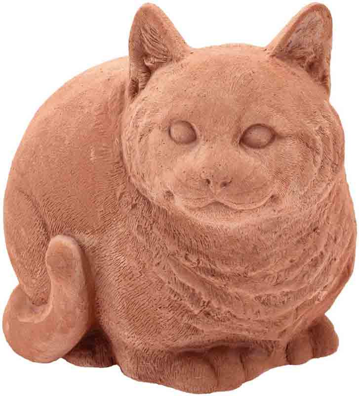 GATTO GRASSO GALESTRO CM.17