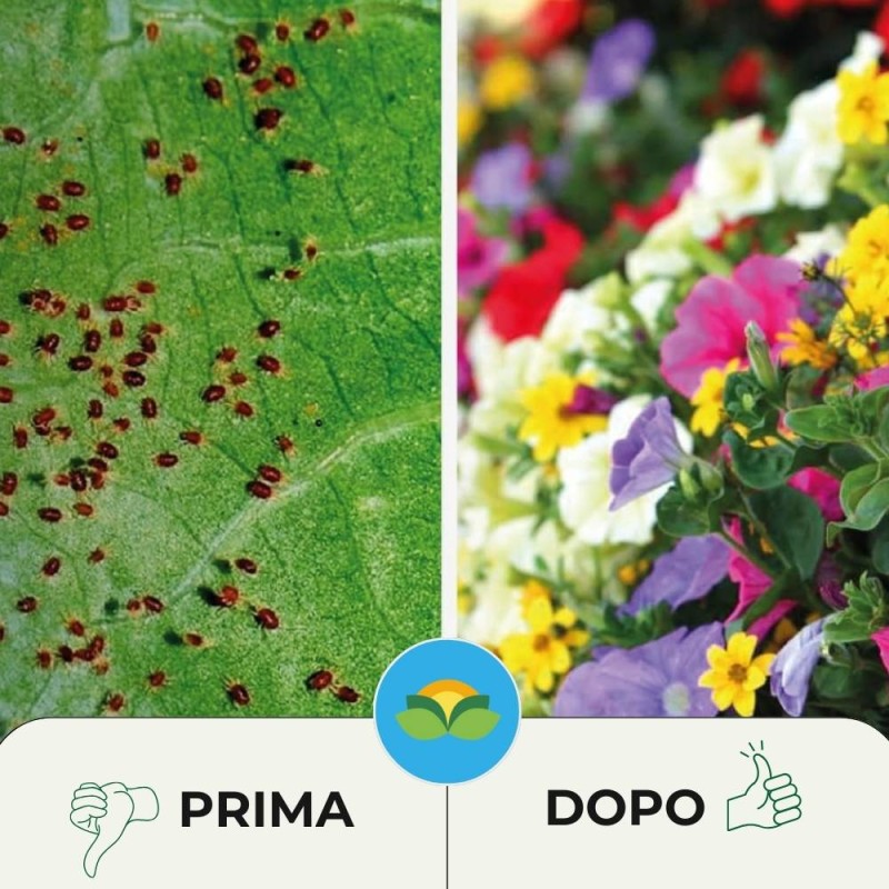 INSETTICIDA PER PIANTE ORNAMENTALI