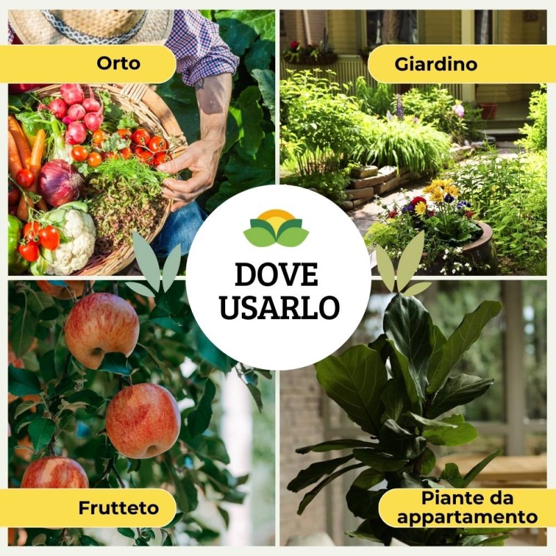 INSETTICIDA PER PIANTE ORNAMENTALI