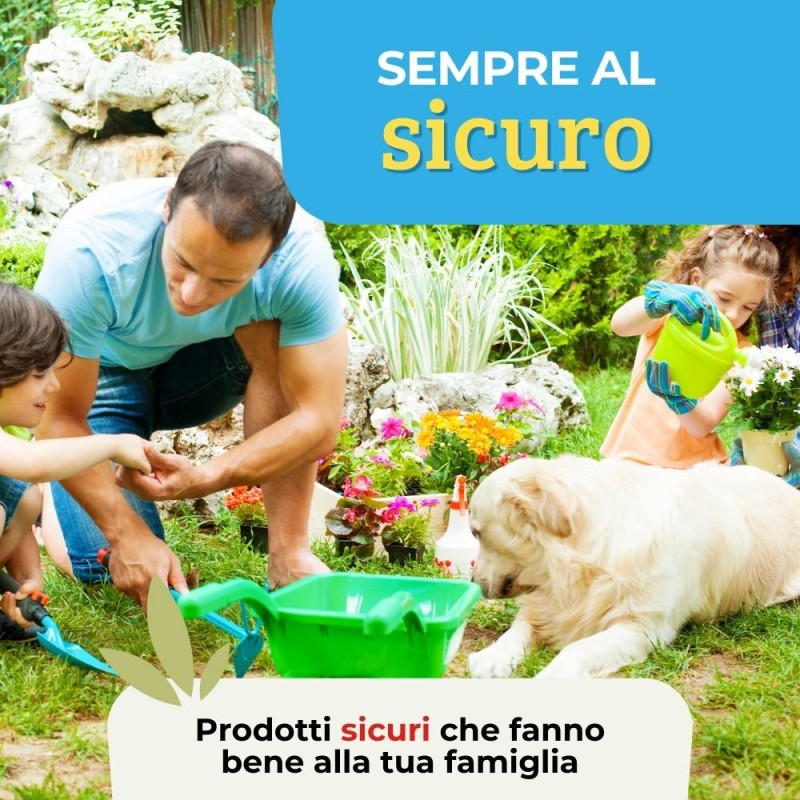 INSETTICIDA PER PIANTE ORNAMENTALI