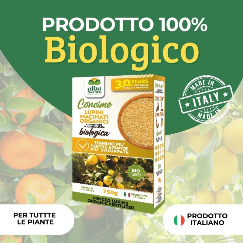 LUPINI MACINATI