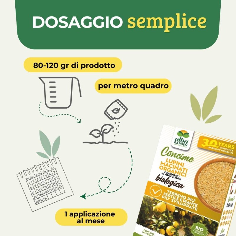 LUPINI MACINATI