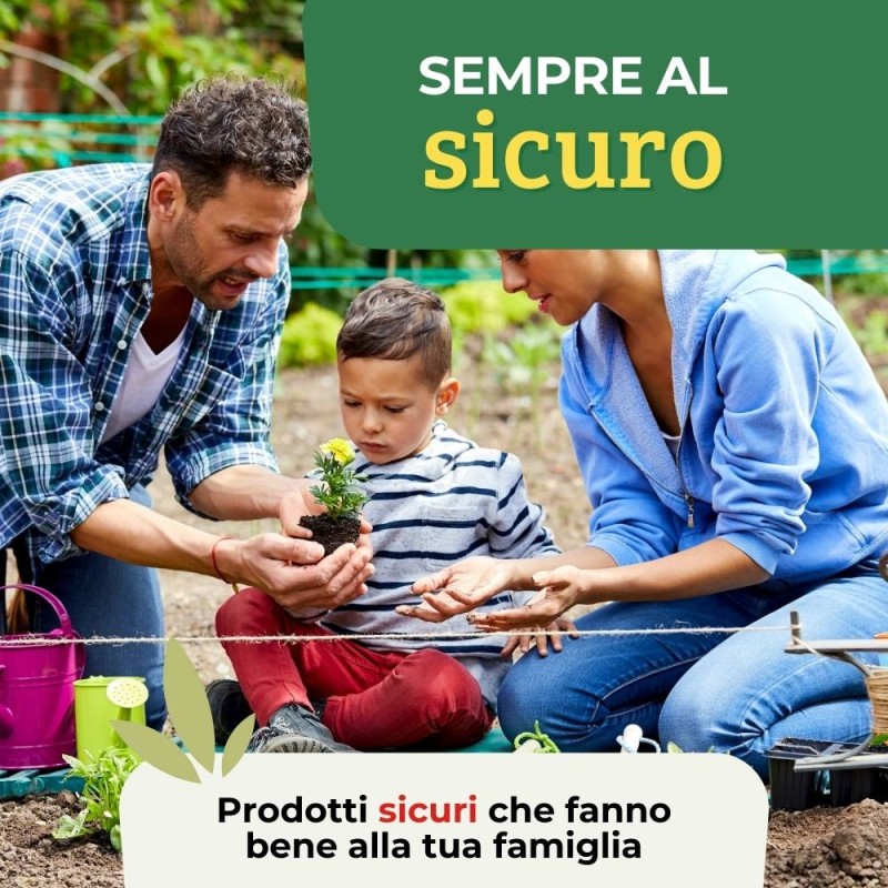 LUPINI MACINATI