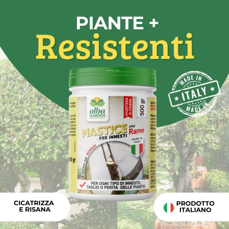 MASTICE PER INNESTI
