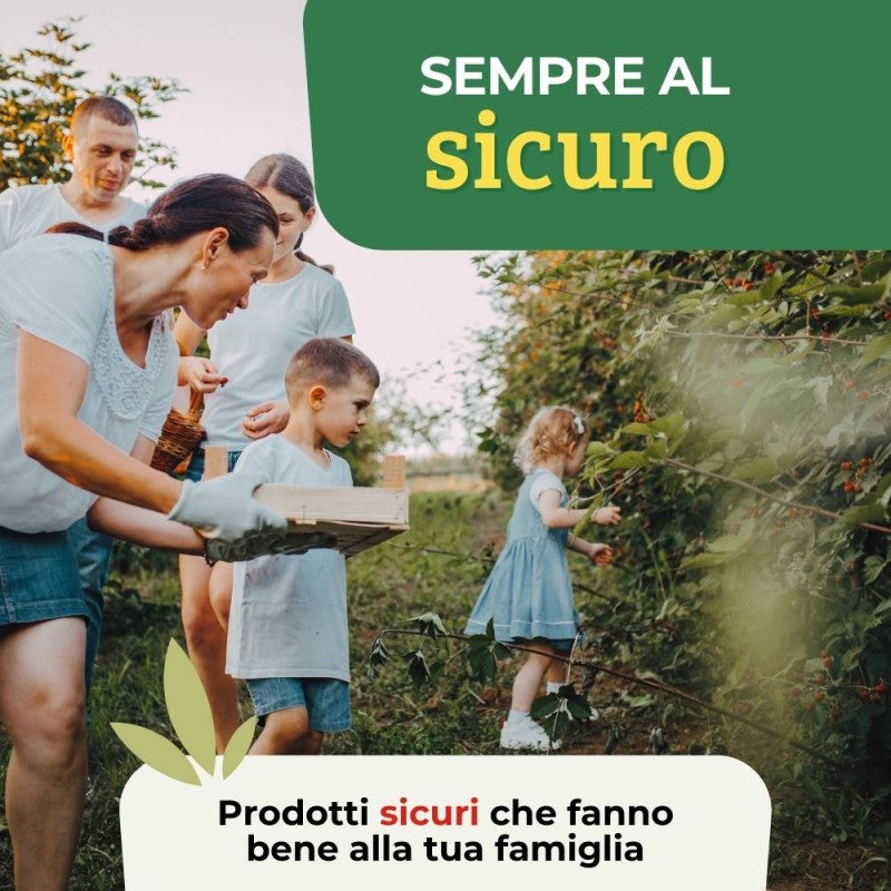 MASTICE PER INNESTI